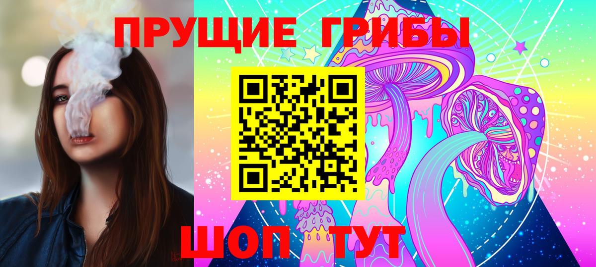 Псилоцибиновые грибы MAGIC MUSHROOMS  где найти наркотики  Каменка  Вход с VPN 