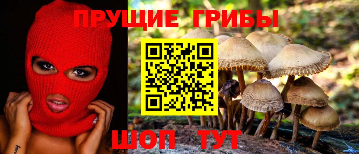 Псилоцибиновые грибы мухоморы Каменка